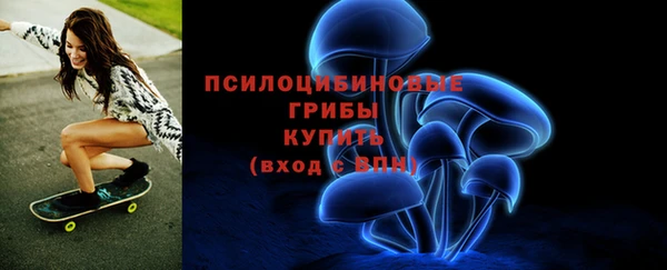 сатива Киренск