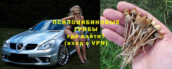 сатива Киренск
