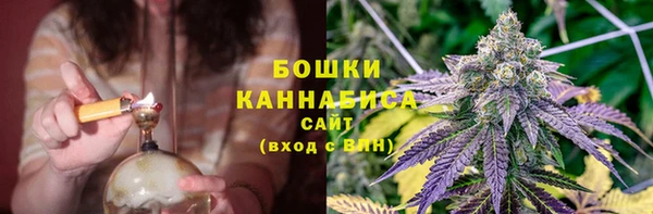 сатива Киренск
