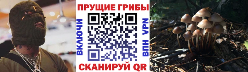 Галлюциногенные грибы мухоморы  закладки  Чегем 